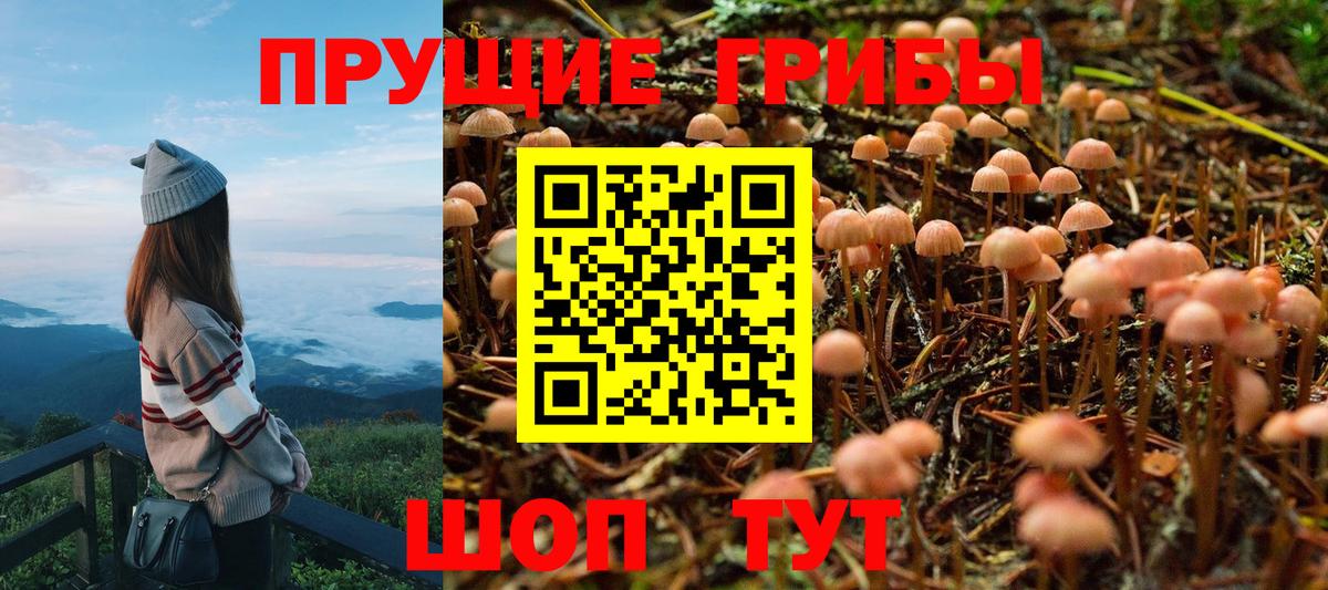 Псилоцибиновые грибы прущие грибы  Вход с VPN  Галлюциногенные грибы Psilocybe  Нефтеюганск 